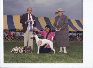 1990 Group First - Hound Group
