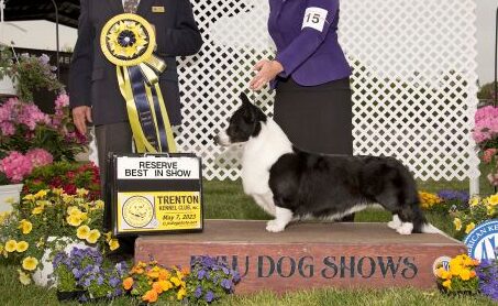 2023 Reserve Best In Show