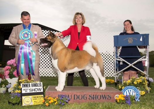 2023 SUN Best OH In Show